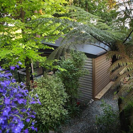 L'Amour Nest Napier Exterior foto
